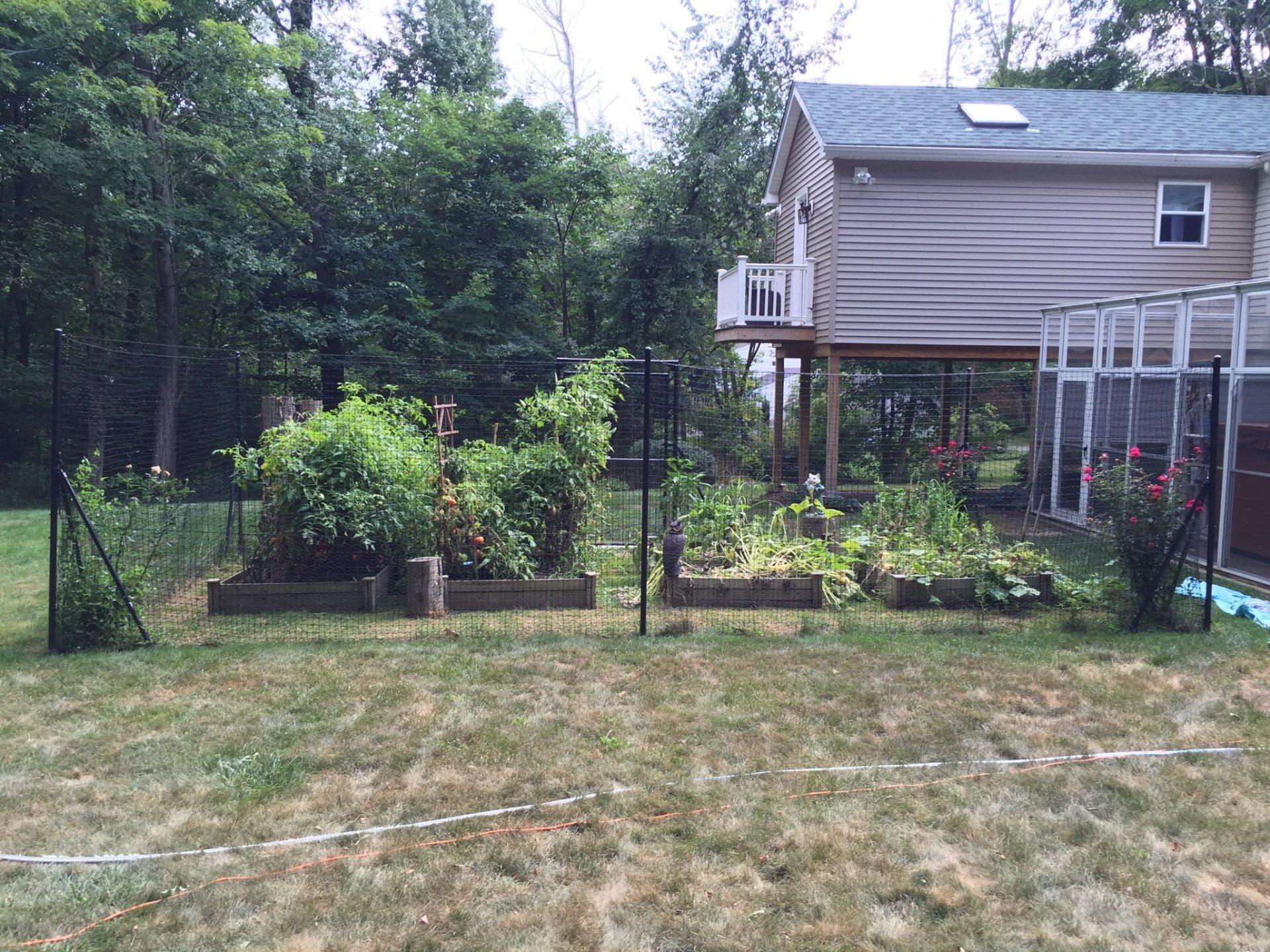 Decorative black wire garden fence surrounding colorful flower beds in a residential front yard